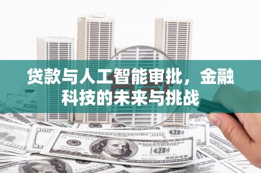 榆树贷款与人工智能审批，金融科技的未来与挑战