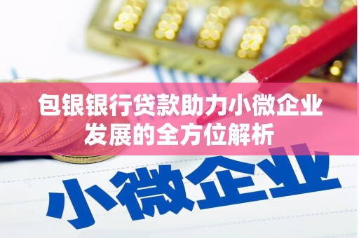 金峰包银银行贷款助力小微企业发展的全方位解析