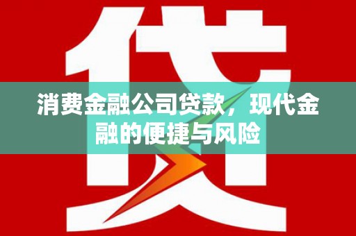 宁江消费金融公司贷款，现代金融的便捷与风险