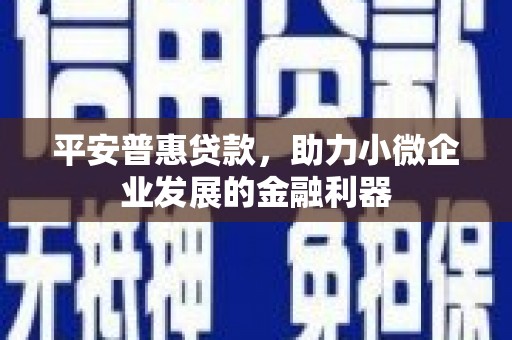 堆龙德庆平安普惠贷款，助力小微企业发展的金融利器