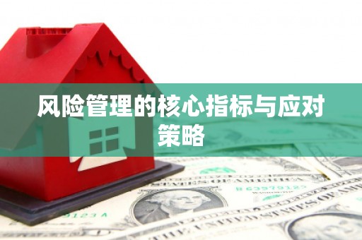 梅山风险管理的核心指标与应对策略