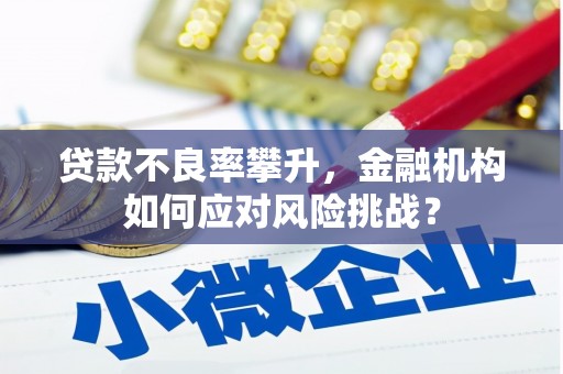 香洲贷款不良率攀升，金融机构如何应对风险挑战？