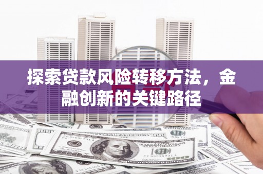 台西探索贷款风险转移方法，金融创新的关键路径