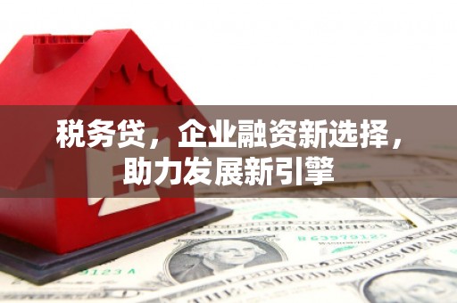前锋税务贷，企业融资新选择，助力发展新引擎
