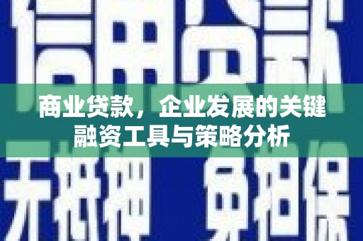 巍山商业贷款，企业发展的关键融资工具与策略分析
