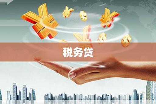 南乐税务贷