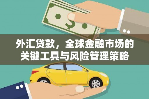 纳雍外汇贷款，全球金融市场的关键工具与风险管理策略
