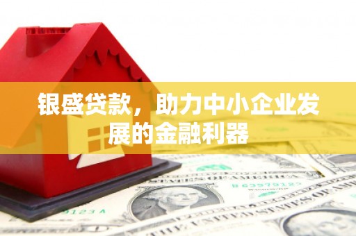 龙崎银盛贷款，助力中小企业发展的金融利器