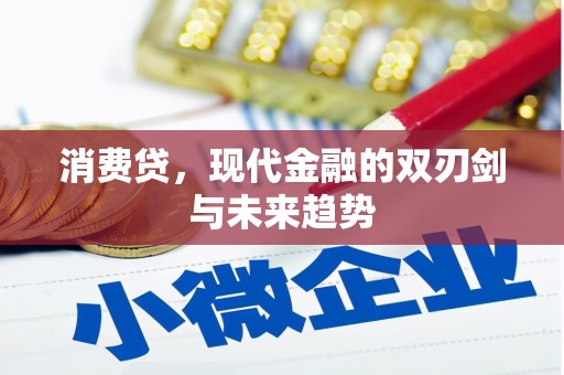 赤城消费贷，现代金融的双刃剑与未来趋势