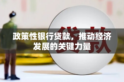 魏县政策性银行贷款，推动经济发展的关键力量