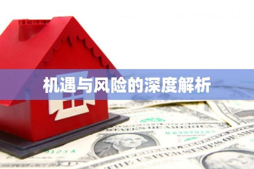 纳雍机遇与风险的深度解析