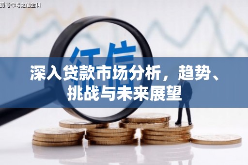 尖扎深入贷款市场分析，趋势、挑战与未来展望