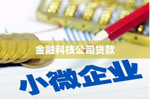 大冶金融科技公司贷款