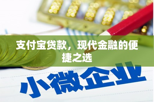 青阳支付宝贷款，现代金融的便捷之选