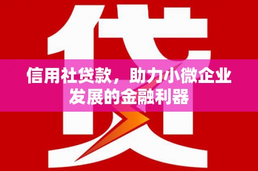 普洱信用社贷款，助力小微企业发展的金融利器