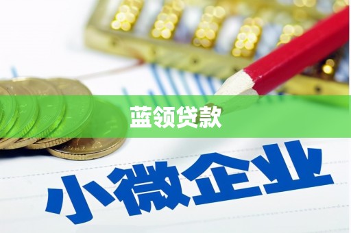 新河蓝领贷款