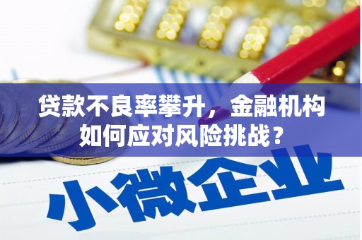 义竹贷款不良率攀升，金融机构如何应对风险挑战？