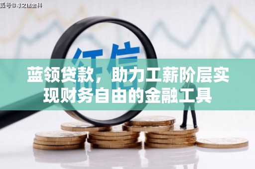 理塘蓝领贷款，助力工薪阶层实现财务自由的金融工具
