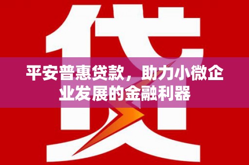 郸城平安普惠贷款，助力小微企业发展的金融利器
