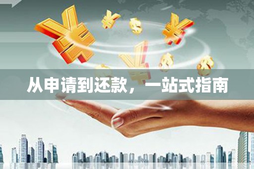 西夏从申请到还款，一站式指南