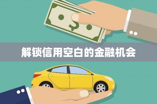 沙湾解锁信用空白的金融机会