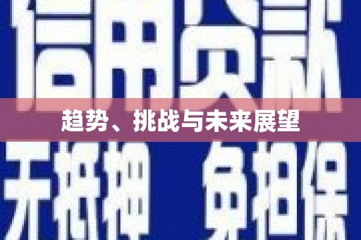后里趋势、挑战与未来展望