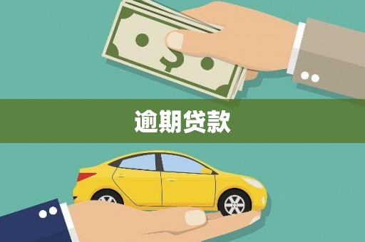 新园逾期贷款
