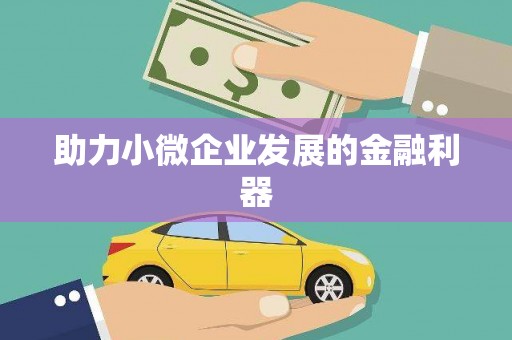 陆丰助力小微企业发展的金融利器