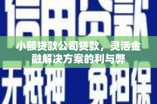襄汾小额贷款公司贷款，灵活金融解决方案的利与弊