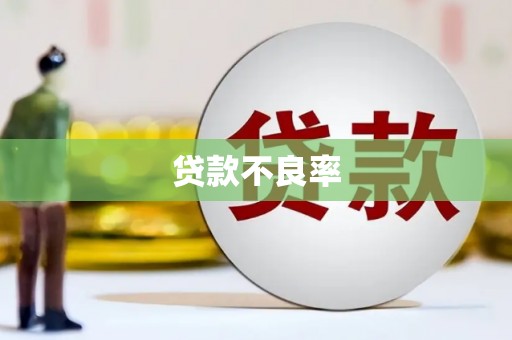 礼县贷款不良率